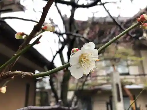 一乗院の自然