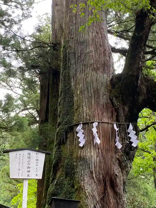 日光二荒山神社(栃木県)