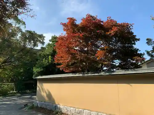 大山祇神社(愛媛県)
