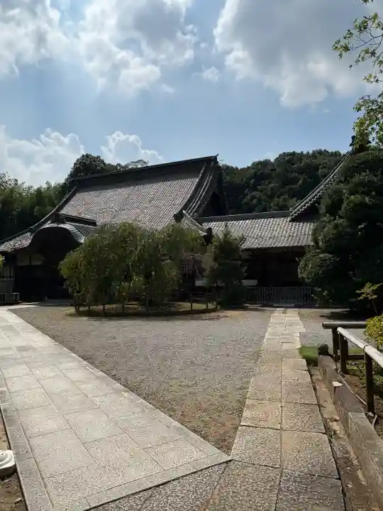 観福寺の{uncategorized: "未分類", other: "その他", undefined: "問題あり", building: "その他建物", grave: "お墓", sacred_gate: "鳥居", guardian: "狛犬", statue: "像", buddha: "仏像", history: "歴史", nature: "自然", garden: "庭園", animal: "動物", pagoda: "塔", temizu: "手水舎", mountain_gate: "山門・神門", sanctuary: "本殿・本堂", subordinate: "末社・摂社", art: "芸術", scenery: "景色", jizo: "地蔵", ema: "絵馬", goshuin: "御朱印", omikuji: "おみくじ", items: "授与品その他", amulet: "お守り", goshuincho: "御朱印帳", eats: "食事", festival: "お祭り", votive_dance: "神楽", shichigosan: "七五三参", wedding: "結婚式", experience: "体験その他", initially: "初詣", around: "周辺", anti_infection: "感染症対策"}