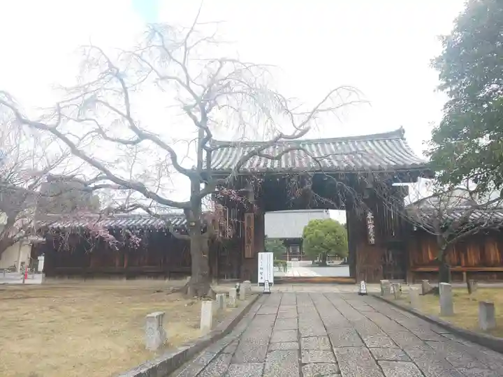 妙覺寺(妙覚寺)の山門・神門