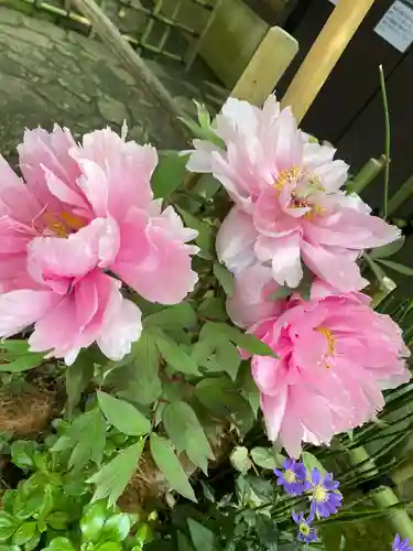 上野東照宮の自然