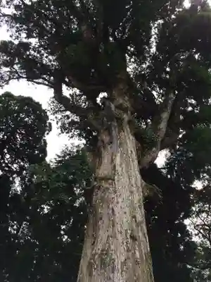 霧島神宮(鹿児島県)