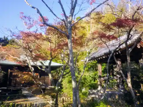 浄光明寺の庭園