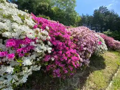 朝日寺(岡山県)