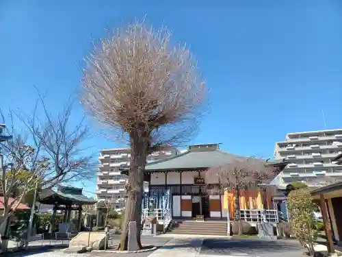 長栄寺(埼玉県)