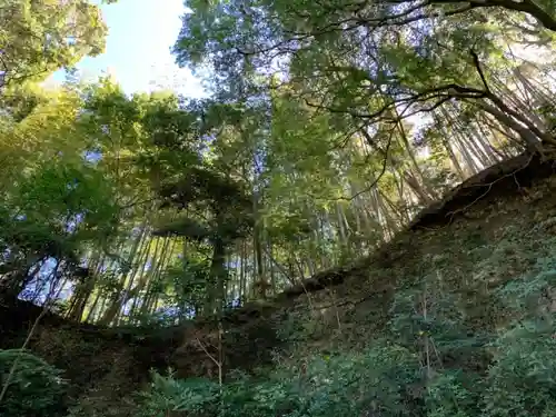 諏訪神社の自然