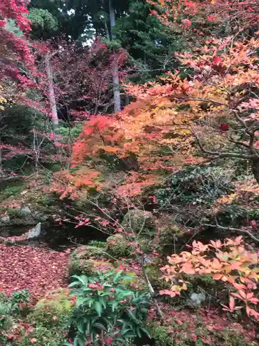 金剛輪寺の庭園