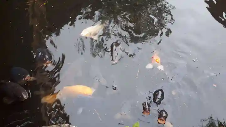 善知鳥神社(青森県)