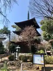 豪徳寺(東京都)