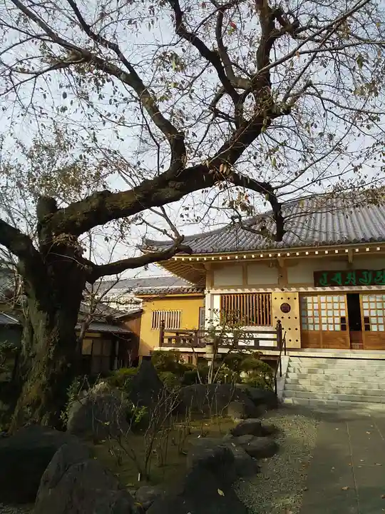 禅定院の本殿・本堂