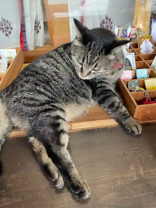 前玉神社の動物