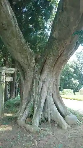 明神社のその他建物