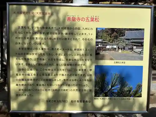 善龍寺(千葉県)