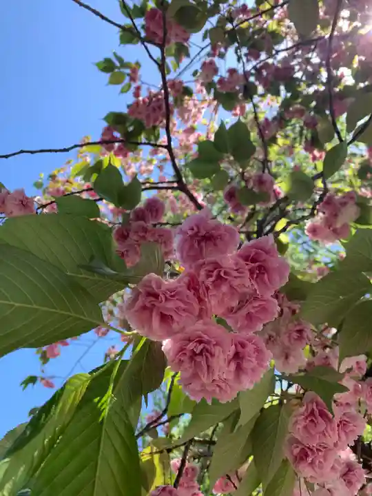 駒形神社(群馬県)