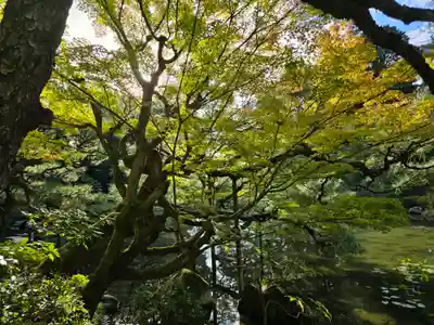 平安神宮(京都府)