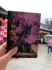 櫻木神社の御朱印帳