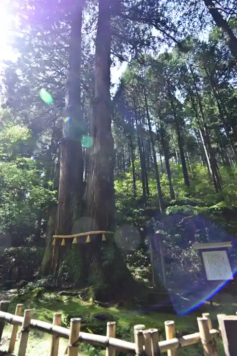 御岩神社の自然