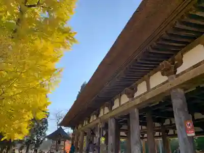 新宮熊野神社の本殿・本堂