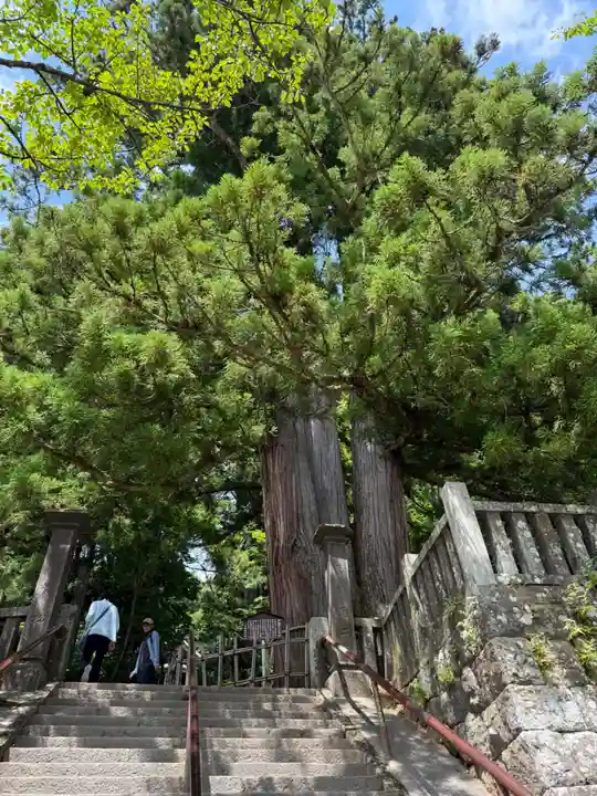 戸隠神社中社(長野県)