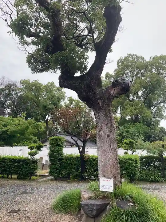 愛染堂勝鬘院の自然