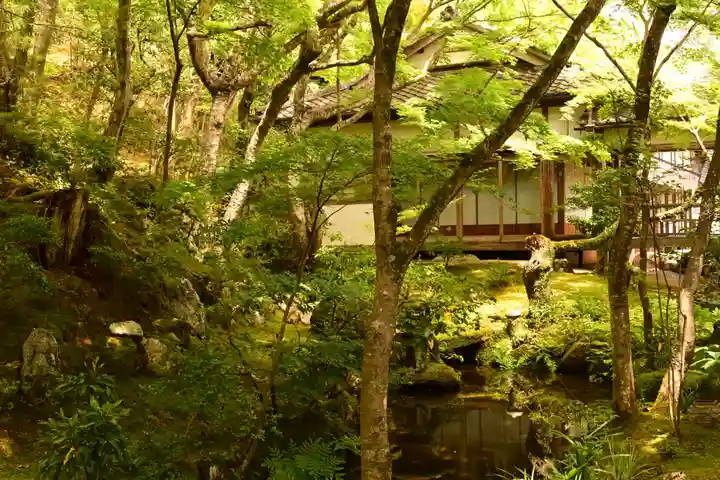 常寂光寺(京都府)