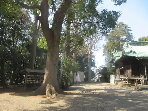 篠原八幡神社(神奈川県)
