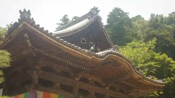 岡寺(龍蓋寺)(奈良県)