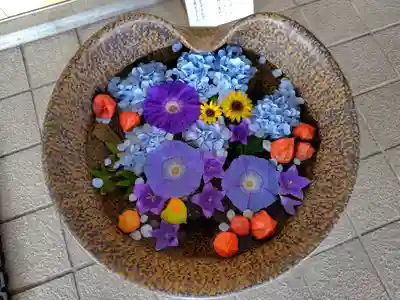 美瑛神社の手水舎