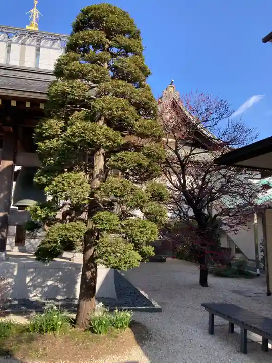 勝楽寺(東京都)