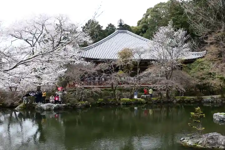 醍醐寺(京都府)