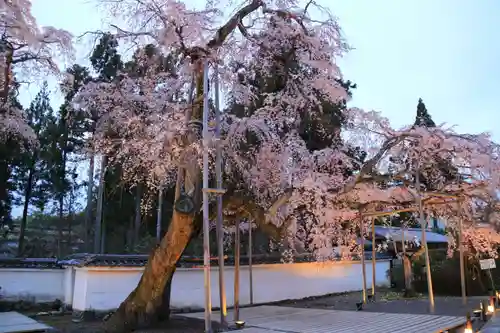 三宝院（三宝院門跡）の庭園