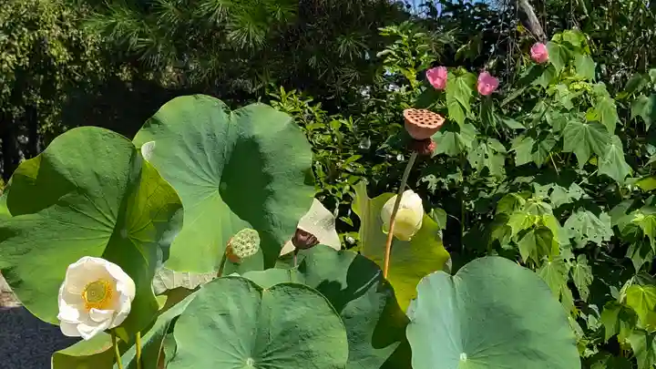後白河院御聖蹟 法住寺(京都府)