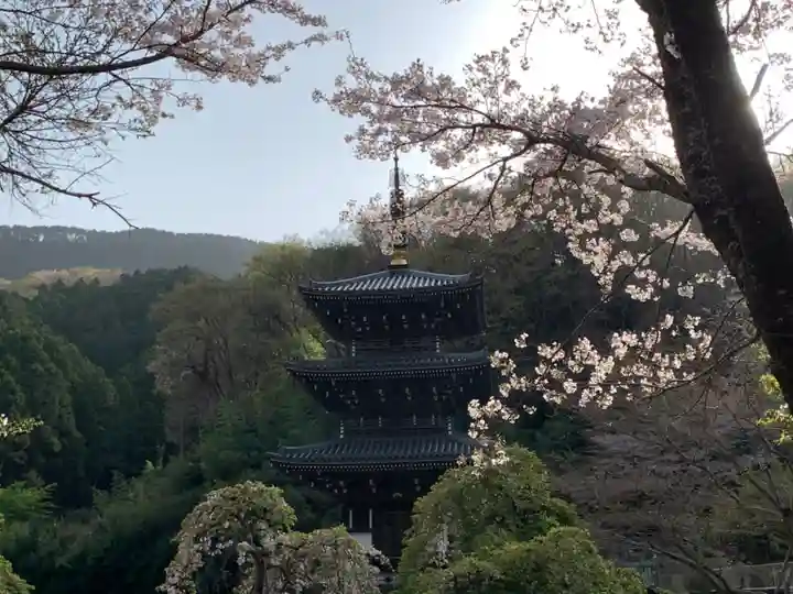 浄発願寺のその他建物