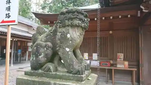 岩槻久伊豆神社の狛犬