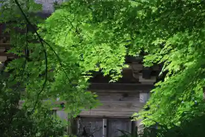 国宝 大法寺のその他建物