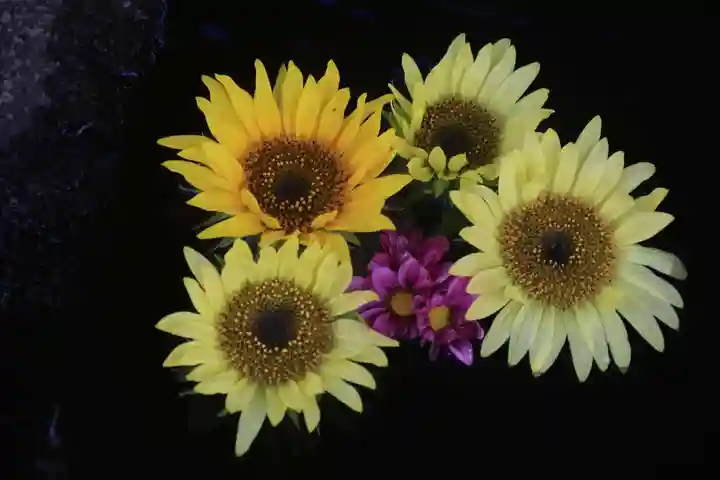 大鏑神社の手水舎