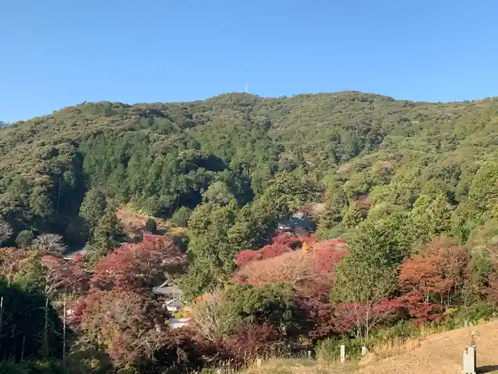 普門寺(切り絵御朱印発祥の寺)の景色