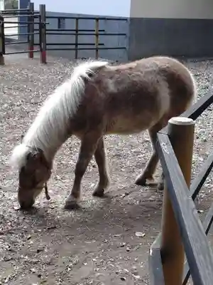 平塚八幡宮(神奈川県)