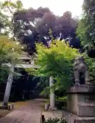 赤坂氷川神社の御朱印