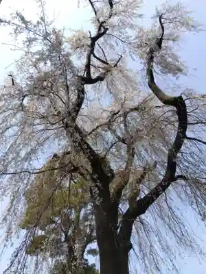 三明寺(愛知県)