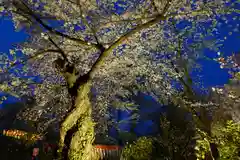 平野神社の建物その他