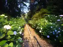 太平山神社の自然