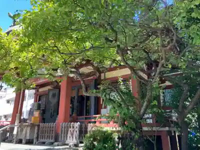 千住本氷川神社(東京都)