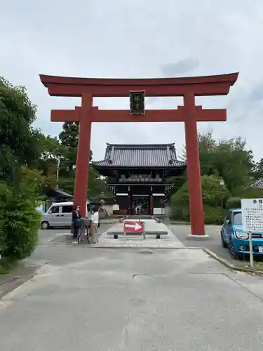 梅宮大社の鳥居