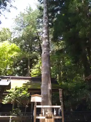 諏訪大社下社春宮のその他建物