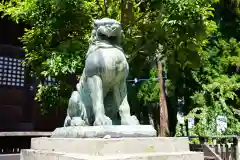 神炊館神社 ⁂奥州須賀川総鎮守⁂の狛犬