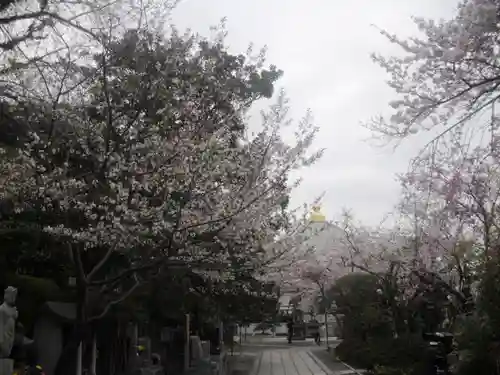 長勝寺の景色