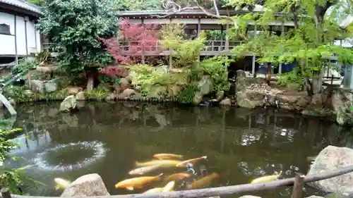 楽法寺（雨引観音）の庭園