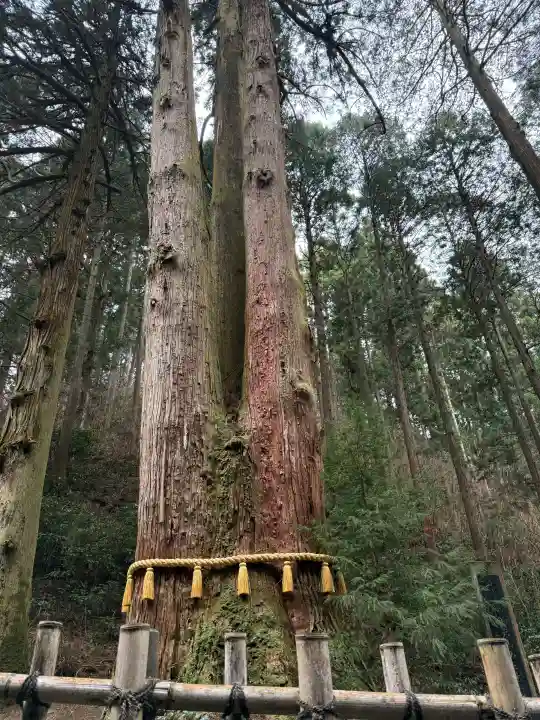 御岩神社の{uncategorized: "未分類", other: "その他", undefined: "問題あり", building: "その他建物", grave: "お墓", sacred_gate: "鳥居", guardian: "狛犬", statue: "像", buddha: "仏像", history: "歴史", nature: "自然", garden: "庭園", animal: "動物", pagoda: "塔", temizu: "手水舎", mountain_gate: "山門・神門", sanctuary: "本殿・本堂", subordinate: "末社・摂社", art: "芸術", scenery: "景色", jizo: "地蔵", ema: "絵馬", goshuin: "御朱印", omikuji: "おみくじ", items: "授与品その他", amulet: "お守り", goshuincho: "御朱印帳", eats: "食事", festival: "お祭り", votive_dance: "神楽", shichigosan: "七五三参", wedding: "結婚式", experience: "体験その他", initially: "初詣", around: "周辺", anti_infection: "感染症対策"}